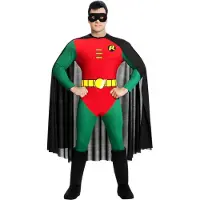 Rubies Robin