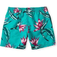 O'Neill Print Badeshorts