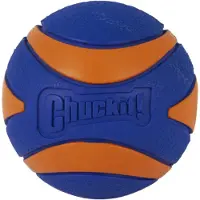 Chuckit! Ultra Squeaker Ball for dogs - size XL