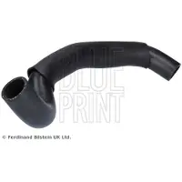 Blue Print Kühlerschlauch Wasserschlauch für TOYOTA Camry Limousine (V5) 33,0 ADBP930008
