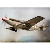Brengun A-36 Apache USAF