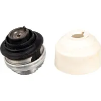 FEBI BILSTEIN Motorlager Hydrolager Links Rechts Vorne passend für MERCEDES-BENZ S-Klasse Limousine (W221) 109303