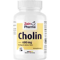 Zein Pharma - Germany GmbH Cholin Kapseln hoch bioverfügbare Cholin Bitartrate 60 St