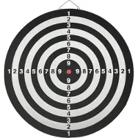 TRK Dartscheibe mit 36 cm Durchmesser für Spaß und Training
