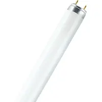Osram NATURA, 36 W, G13, T8, 20000 h, 1800 lm, Neutralweiß