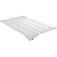 Badenia irisette Daunensteppbett Irisette Luna medium Größe 135 x 200 cm