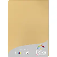 Pollen Papier