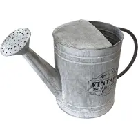 Mojawo Giesskanne Blechkanne Metallkanne Kanne Dekokanne verzinkt 5 Liter