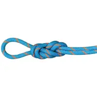 Mammut Bergseil 8.7 Alpine Sender Dry Rope 60m
