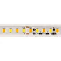 Sigor 10W/m dimmbar-To-Warm LED-Streifen 4000-2200K 5m 168LED/m IP67 24V