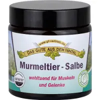 Axisis GmbH Murmeltier Salbe 110 ml