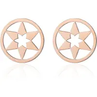 Ailoria Paar Ohrhänger "Ohrstecker ", gold (roségold), Ohrringe, Damen, Edelstahl, Paar Ohrhänger