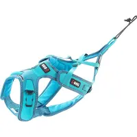 IDog Harnais Canicross X-back Hundegeschirr