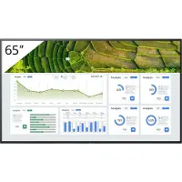 Sony FW-65BZ30L, Digital Signage Flachbildschirm, 165,1 cm (65"), LCD, 3840 x 2160 Pixel, WLAN, 24/7