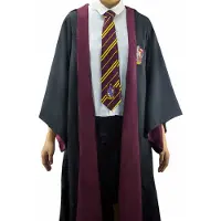 PAN Vision Danmark A/S Harry Potter Gryffindor Zauberermantel