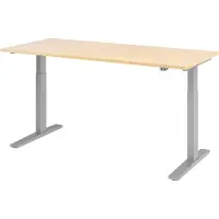 Hjh OFFICE PRO XMKA 19 S - Ahorn 180 x 80 elektrisch höhenverstellbar