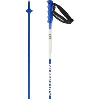 Salomon S/race Poles Carbon Silber 135 cm