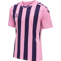 Hummel hmlCORE XK Striped Trikot Weiss Lila F3266 || Größe XL