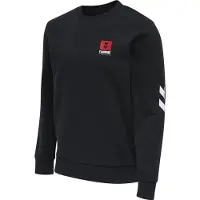 Hummel Sweatshirt hmlLGC graham
