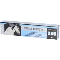 Equistro Energy Booster Erg.Futterm.Paste f.Pferde 20 g Paste