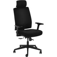 Expondo Fromm & Starck Bürostuhl - Chefsessel - Kopfstütze - 200 kg