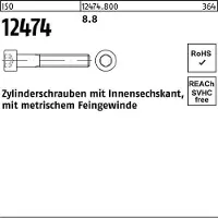Reyher Zylinderschraube ISO 12474 m.Innensechskant M 10 x1 x 80 8.8