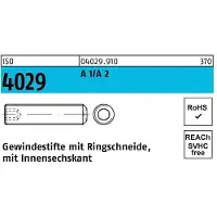 Reyher Gewindestift ISO 4029 Ringschneide/Innen-6-kant M 6 x 60 A 2