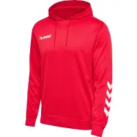 Hummel Promo Poly Kapuzenpullover
