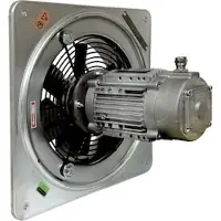 Maico Axialer