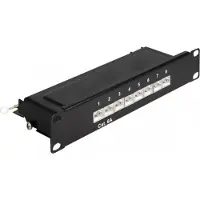 DeLOCK 25,40cm (10") Patchpanel 8 Port Cat.6A 1 HE schwarz