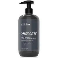 Difiaba Charcolite Cool Toning Anti-Messing Shampoo