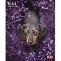 Trixie Baby Kalender Teckel