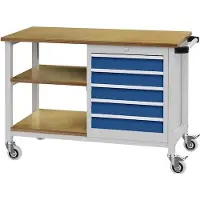 Bedrunka & hirth Werkbank B1200xT540xH880mm Buche Multiplex lichtgrau / signalblau 5 Schubladen