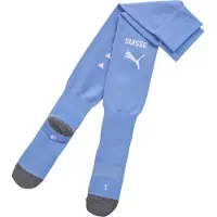 Puma Team SFV Stacked Logo Socks Replica