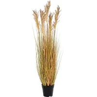 You do it Sorghumgrass