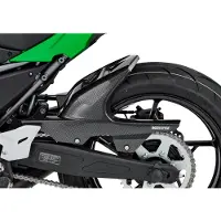 Bodystyle Radabdeckung Raceline Z 650 BJ. 17- CARBON, ABE Carbon