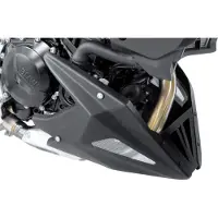 Bodystyle Bugspoiler Sportsline F 900 R/XR 20- SCHW.-MATT