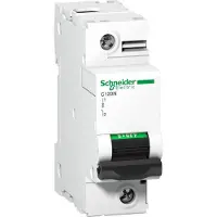 Schneider LSSchalter C20N