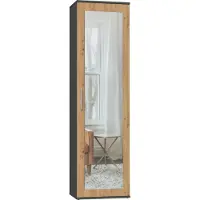 Top E Shop Topeshop DUO SZAFA ANT/ART KP, Toilette, 2 Regale, 1 Tür(en), Eiche, Partikelbord, Partikelbord