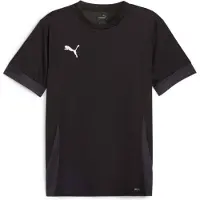 Puma Teamgoal Matchday Trikot Kurzarm Herren - Schwarz