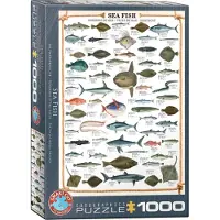 Eurographics Puzzle Meeresfische 1000 Teile Tiere Karton