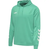 Hummel Hoodie hmlPROMO Poly
