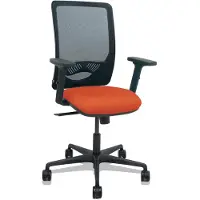 Piqueras Y Crespo Zulema Synchro Arms 2d Ergonomischer Bürostuhl