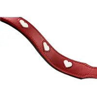 Hunter Love Adjustable Führleine