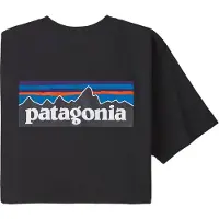 Patagonia T-Shirt P-6 Logo