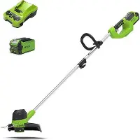Greenworks Rasentrimmer G40LT30 mit 40 V 2 Ah Batterie 2101507UA
