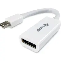 Equip Life DisplayPort-Adapter