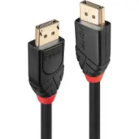 Lindy 901399560 10 M Displayport-kabel