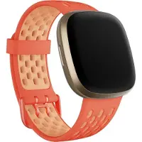 Fitbit Versa 3/Sense Sportarmband L