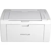 Pantum P2509W WLAN-Laserdrucker Weiß